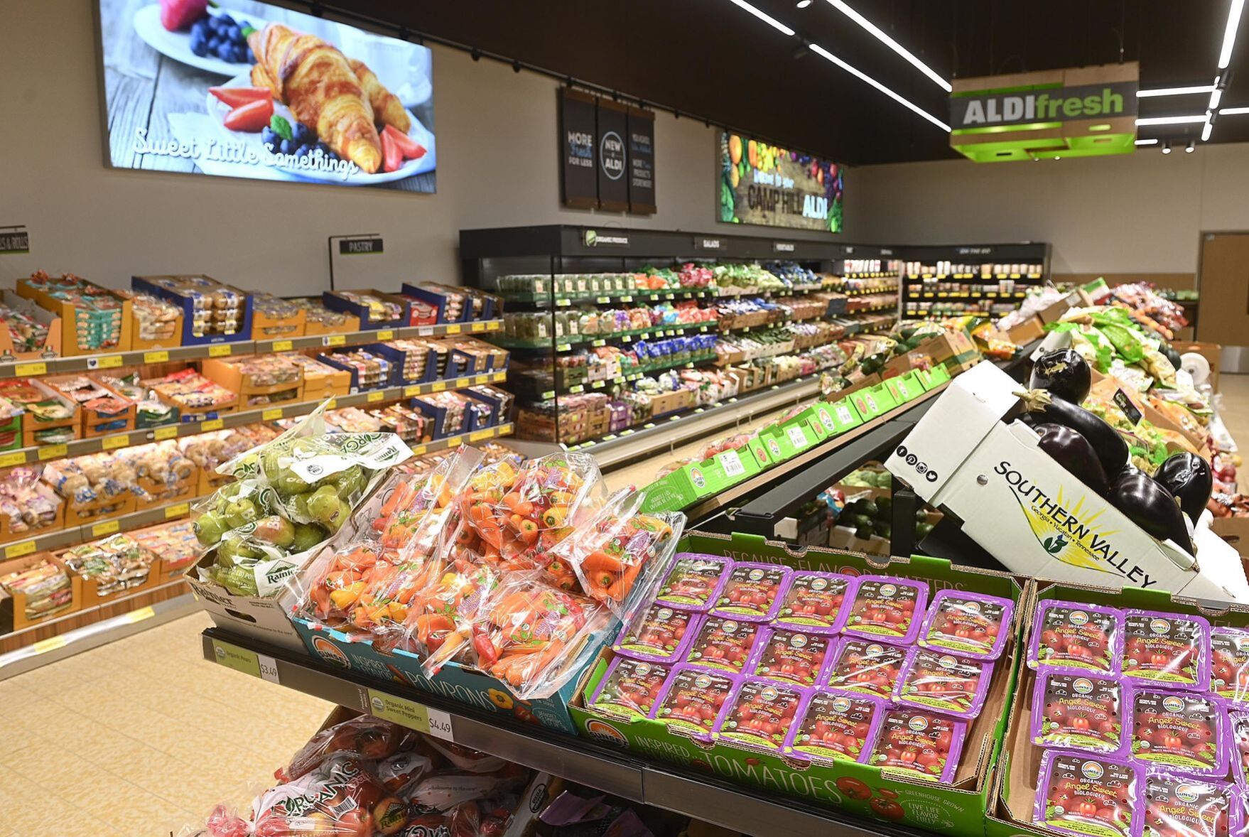 Aldi 19